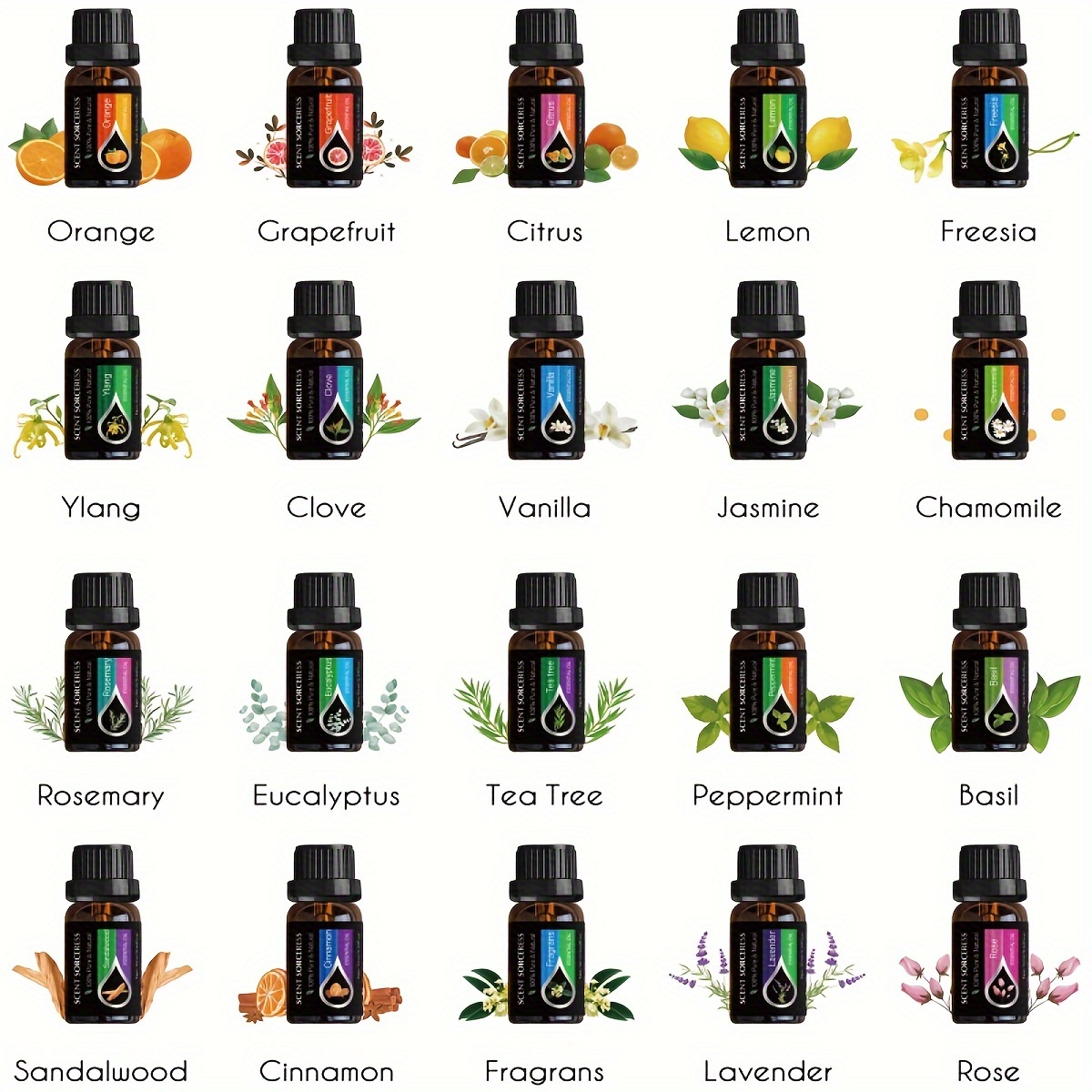 20pcs/set Black Classic Essent - Spa Y Wellness incelemesi ve fiyatı